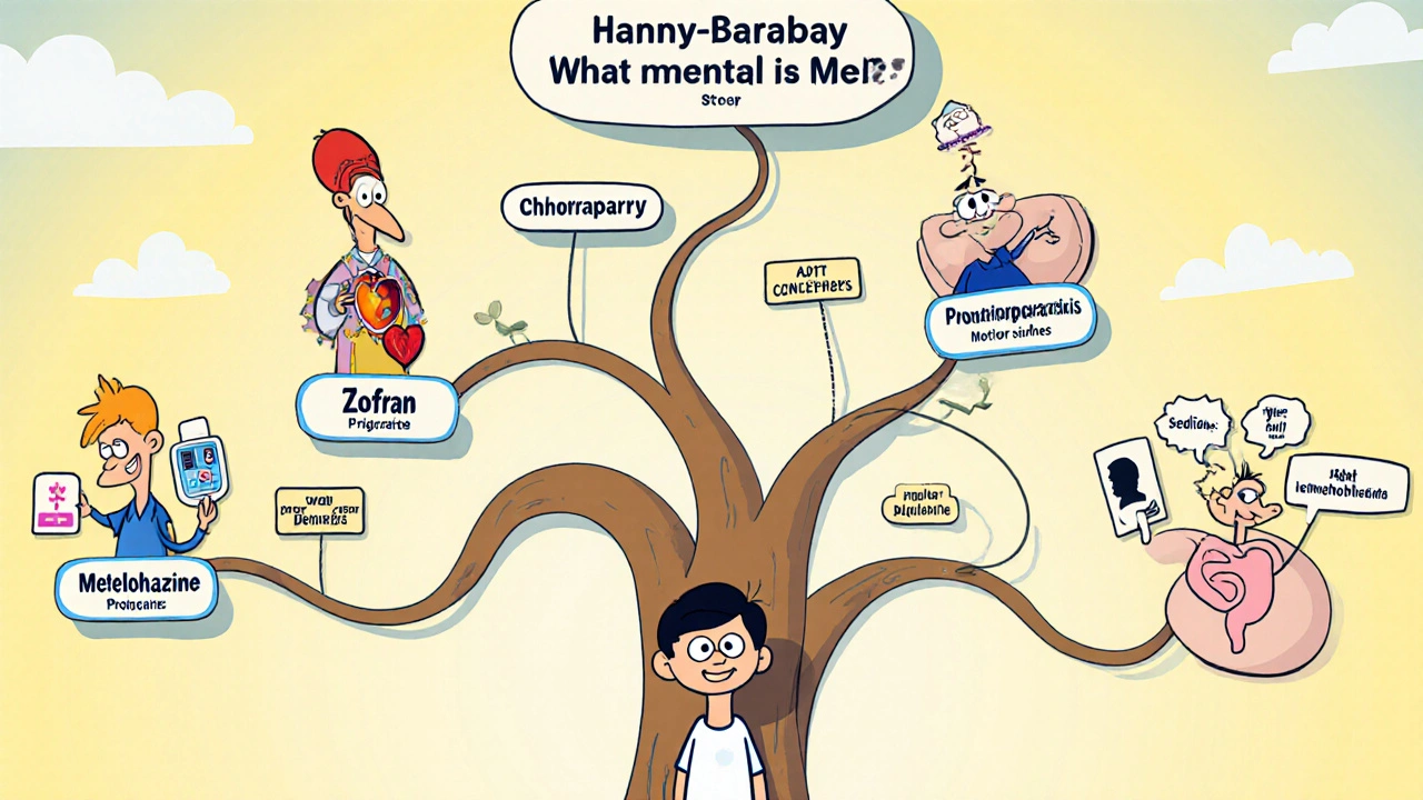 Patient follows a cartoon decision tree choosing anti‑nausea drugs based on triggers.