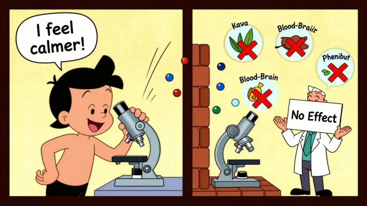 Split-panel comic: hopeful GABA user vs. microscopic view showing GABA blocked by brain barrier