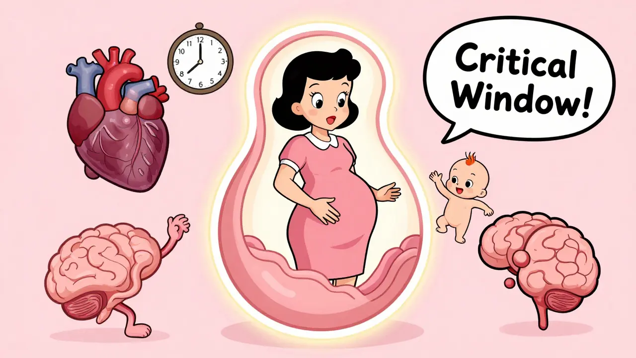 First Trimester Medication Safety: What You Need to Know About Critical Development Windows